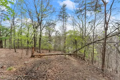 2517 Thompson Overlook, Gainesville, GA 30506 - Photo 7