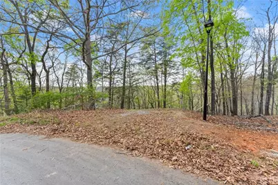2517 Thompson Overlook, Gainesville, GA 30506 - Photo 3