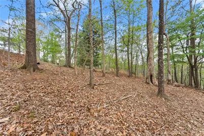 2524 Thompson Ovlk, Gainesville, GA 30506 - Photo 5