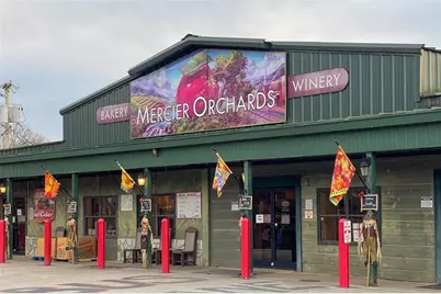 12877 Appalachian, Morganton, GA 30560 - Photo 45