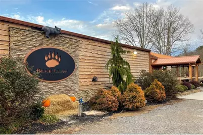 12877 Appalachian, Morganton, GA 30560 - Photo 61