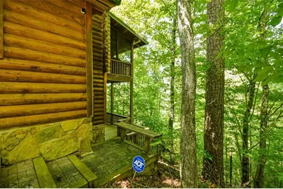 250 Meadow Lane, Talking Rock, GA 30175 - Photo 43