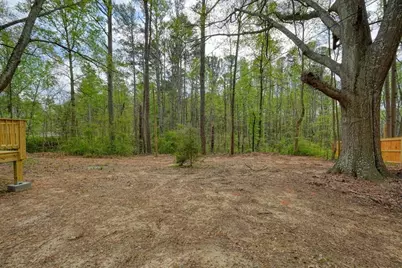117 Chester Harris Drive, Dallas, GA 30132 - Photo 33