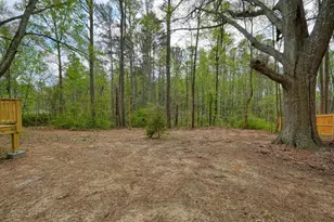 117 Chester Harris Dr, Dallas, GA 30132 - Photo 33