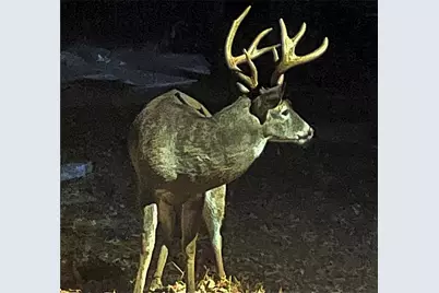 1265 Northshore Drive, Roswell, GA 30076 - Photo 65