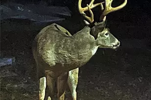 1265 Northshore Dr, Roswell, GA 30076 - Photo 65