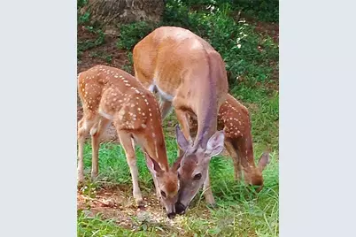 1265 Northshore Drive, Roswell, GA 30076 - Photo 63