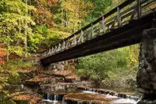 906 Ridgeview Dr, Jasper, GA 30143 - Photo 55