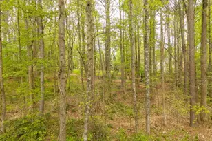 4880 Rosewood Lake Dr, Cumming, GA 30040 - Photo 79