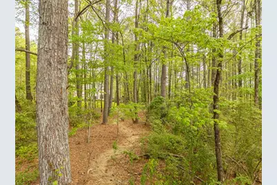 4880 Rosewood Lake Drive, Cumming, GA 30040 - Photo 77