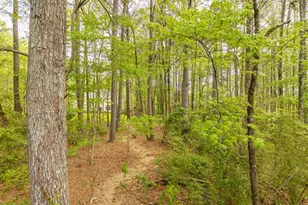 4880 Rosewood Lake Dr, Cumming, GA 30040 - Photo 77