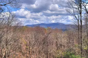 1113 Cherry Lake Drive, Cherrylog, GA 30522 - Photo 39