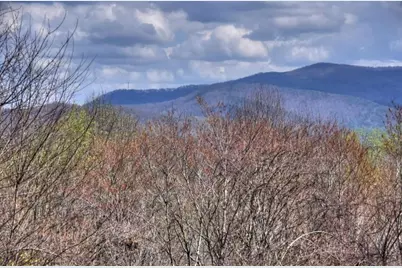 1113 Cherry Lake Drive, Cherrylog, GA 30522 - Photo 45