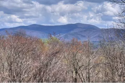 1113 Cherry Lake Drive, Cherrylog, GA 30522 - Photo 5