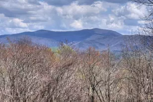 1113 Cherry Lake Drive, Cherrylog, GA 30522 - Photo 5