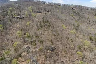 248 Lone Wolf Trail, Jasper, GA 30143 - Photo 43