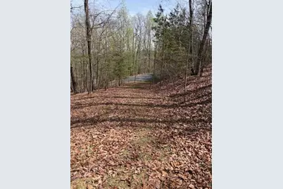 0 Brumby Run, Blairsville, GA 30512 - Photo 7