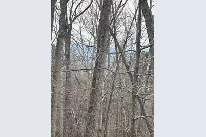 0 Brumby Run, Blairsville, GA 30512 - Photo 9