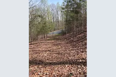 0 Brumby Run, Blairsville, GA 30512 - Photo 15