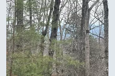 0 Brumby Run, Blairsville, GA 30512 - Photo 3