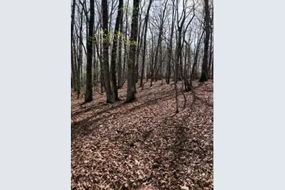 0 Brumby Run, Blairsville, GA 30512 - Photo 13