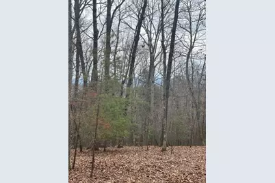 0 Brumby Run, Blairsville, GA 30512 - Photo 13