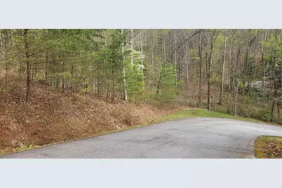 0 Yellow Trillium (Lot 13), Clayton, GA 30525 - Photo 3