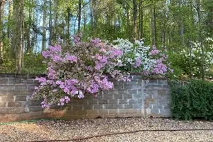 205 Carruth Rd, Jefferson, GA 30549 - Photo 61