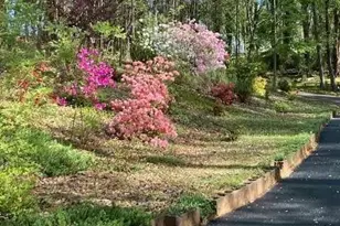 205 Carruth Rd, Jefferson, GA 30549 - Photo 67