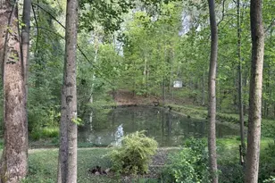 205 Carruth Rd, Jefferson, GA 30549 - Photo 59