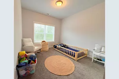 3029 Highway 17, Clarkesville, GA 30523 - Photo 9