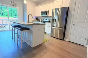 3029 Hwy 17, Clarkesville, GA 30523 - Photo 3