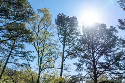 225 Chickasaw Drive, Waleska, GA 30183 - Photo 45