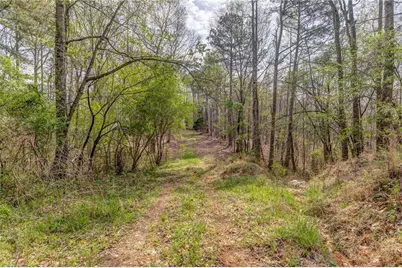 3585 Old Highway 100 S, Tallapoosa, GA 30176 - Photo 7