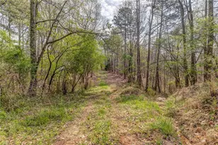 3585 Old Hwy 100 S, Tallapoosa, GA 30176 - Photo 7