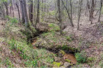 3585 Old Highway 100 S, Tallapoosa, GA 30176 - Photo 3