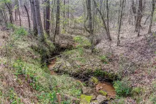 3585 Old Hwy 100 S, Tallapoosa, GA 30176 - Photo 3