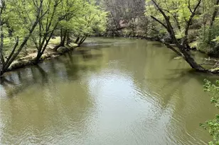 326 Garfield Dr, Ellijay, GA 30540 - Photo 53