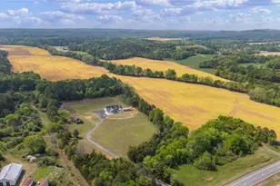 2465 Hwy 113, Taylorsville, GA 30178 - Photo 43
