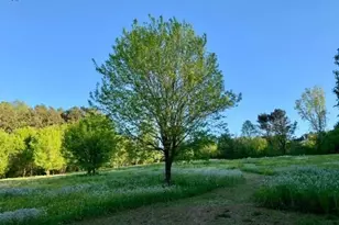 4320 Jeston Ct, Cumming, GA 30028 - Photo 67