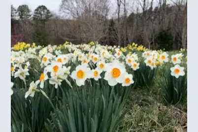 353 Riverwood Road, Lula, GA 30554 - Photo 77