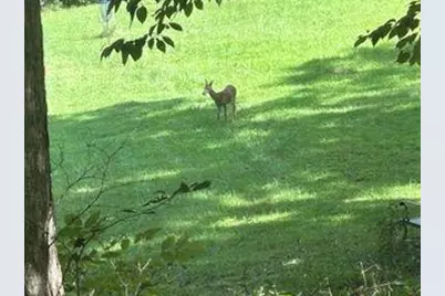 353 Riverwood Road, Lula, GA 30554 - Photo 75