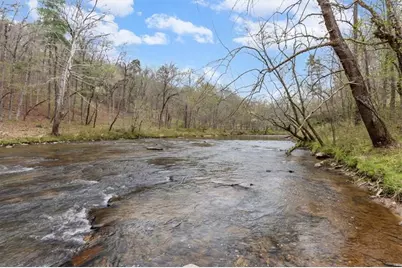 496 Meadow Lane, Talking Rock, GA 30175 - Photo 43