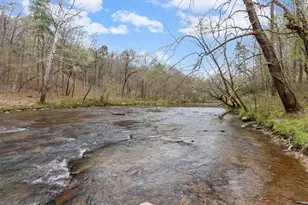 496 Meadow Ln, Talking Rock, GA 30175 - Photo 43