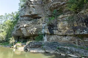 496 Meadow Ln, Talking Rock, GA 30175 - Photo 65