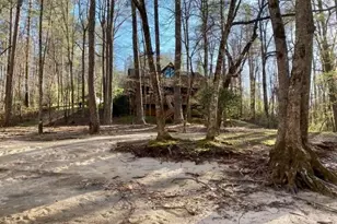 496 Meadow Ln, Talking Rock, GA 30175 - Photo 67