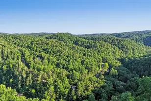 496 Meadow Ln, Talking Rock, GA 30175 - Photo 3