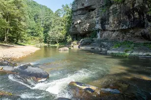 496 Meadow Ln, Talking Rock, GA 30175 - Photo 59