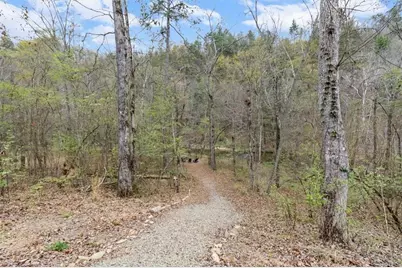 496 Meadow Lane, Talking Rock, GA 30175 - Photo 53