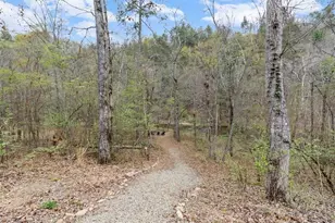 496 Meadow Ln, Talking Rock, GA 30175 - Photo 53